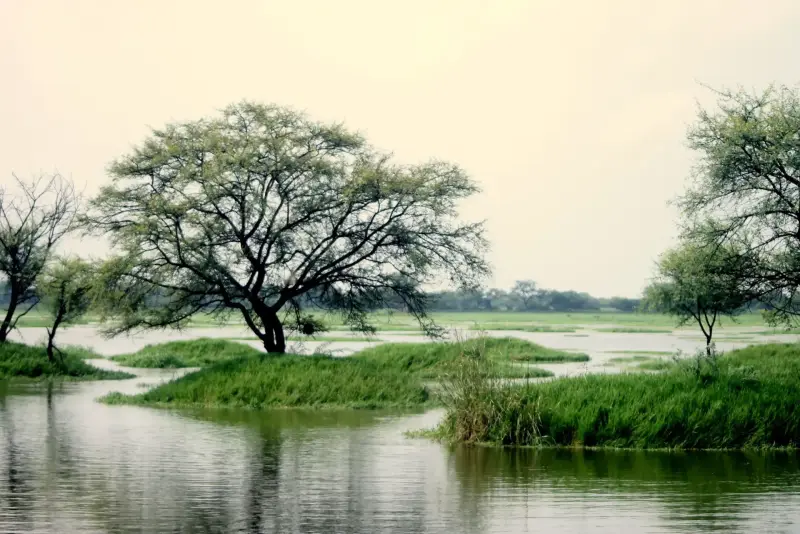 Bharatpur