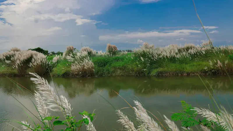 Biratnagar